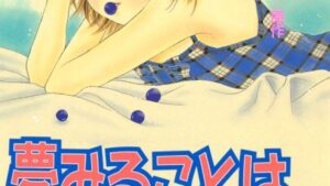 夢みることはやめられないのネタバレ、あらすじ、感想、結末、無料で読む方法まとめ【小林深雪、牧村久実】