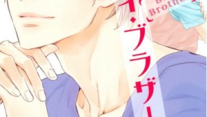 バイバイ・ブラザーのあらすじやネタバレ、感想・無料で読む方法まとめ【神葉理世】